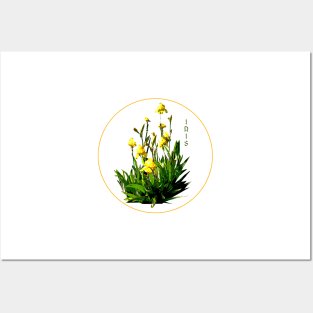 Flower Series  - Iris with transparent background Posters and Art